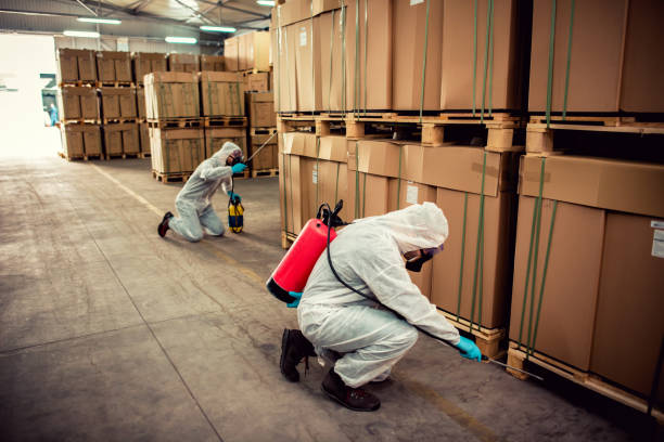 Professional Pest Control in Northchase, NC