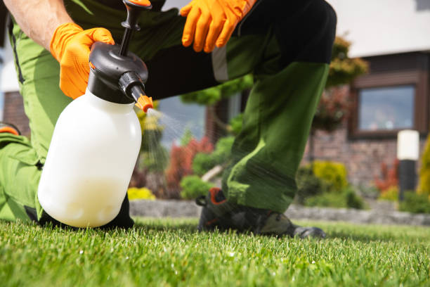 Best Emergency Pest Control  in Northchase, NC