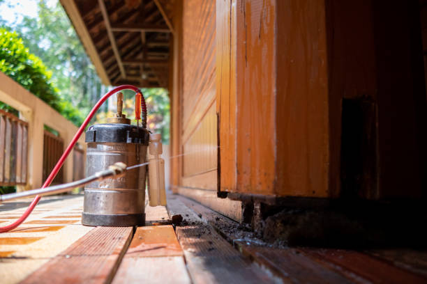 Best Residential Pest Control  in Northchase, NC