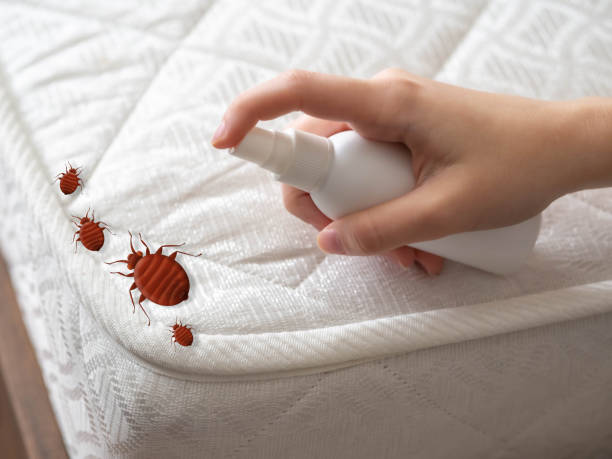 Best Best Pest Control Companies  in Northchase, NC