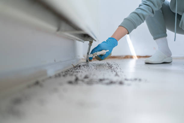 Best Cockroach Control Services  in Northchase, NC